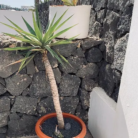 Lovely D'ogna, Las Coloradas, Playa Papagayo Villa *