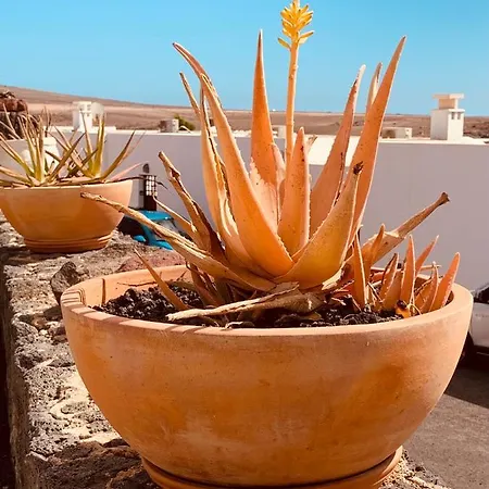 Lovely D'ogna, Las Coloradas, Playa Papagayo Villa Playa Blanca (Lanzarote)